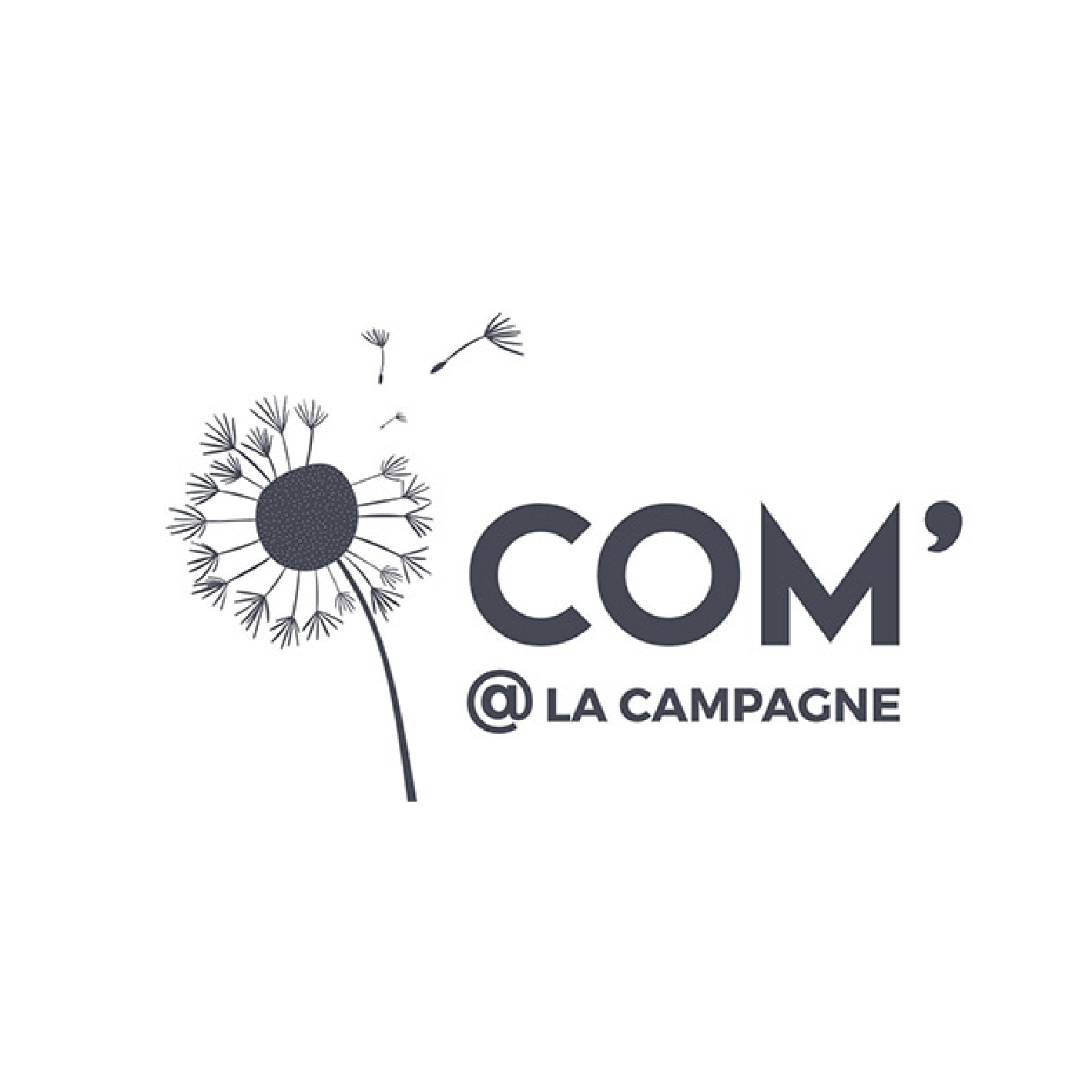 You are currently viewing COM’ @ la campagne